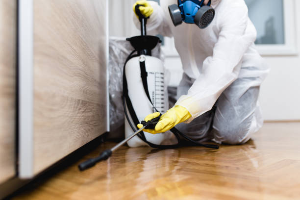 Pest Control for Restaurants in Okawville, IL