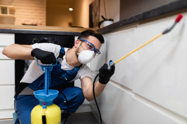 Best Pest Removal Services  in Okawvle, IL