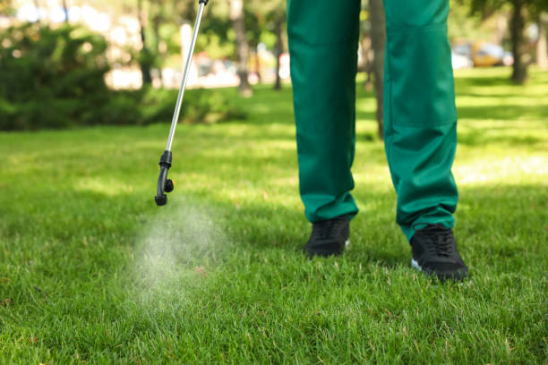 Best Pest Prevention Services  in Okawvle, IL