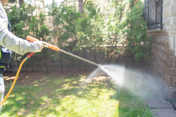 Best Local Pest Control Services  in Okawvle, IL