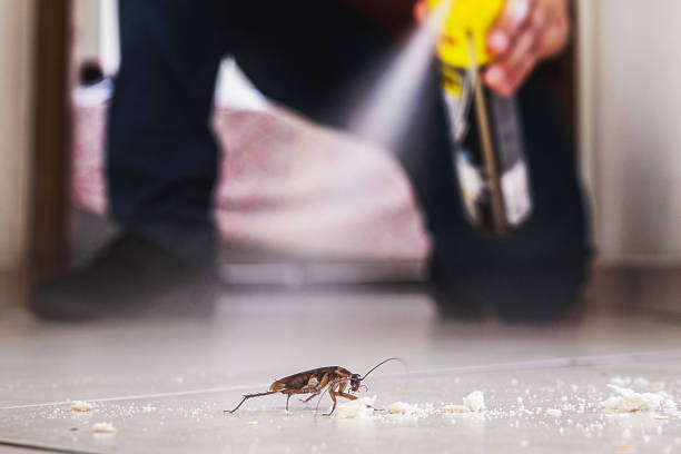 Professional Pest Control in Okawville, IL